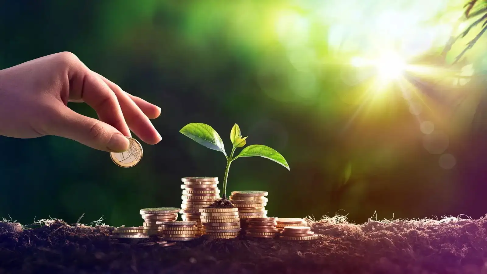 From Accounting Systems to Business Partnering for Scale & Growth